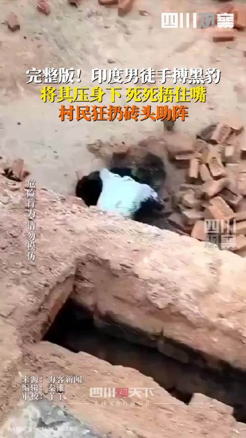 惊险！6月24日据印度媒体报道，35岁印度男子赤手肉搏黑豹 ，死死将黑豹压在身下，捂住它的嘴，村民狂扔砖头助阵，万幸最