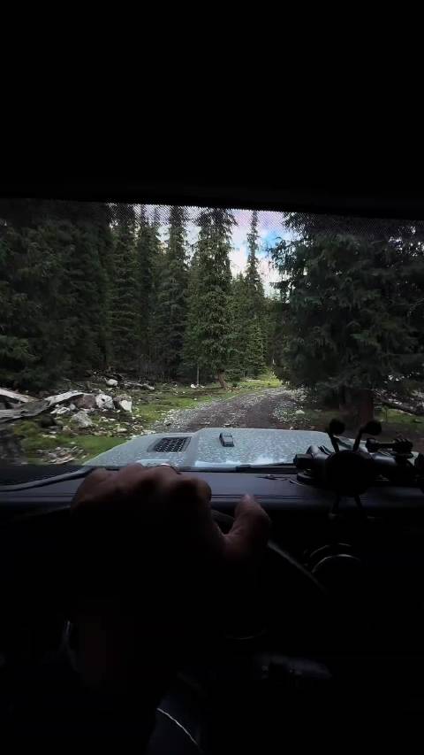 该和群合群、该独行独行