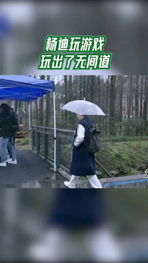 杨迪玩游戏玩出了无间道