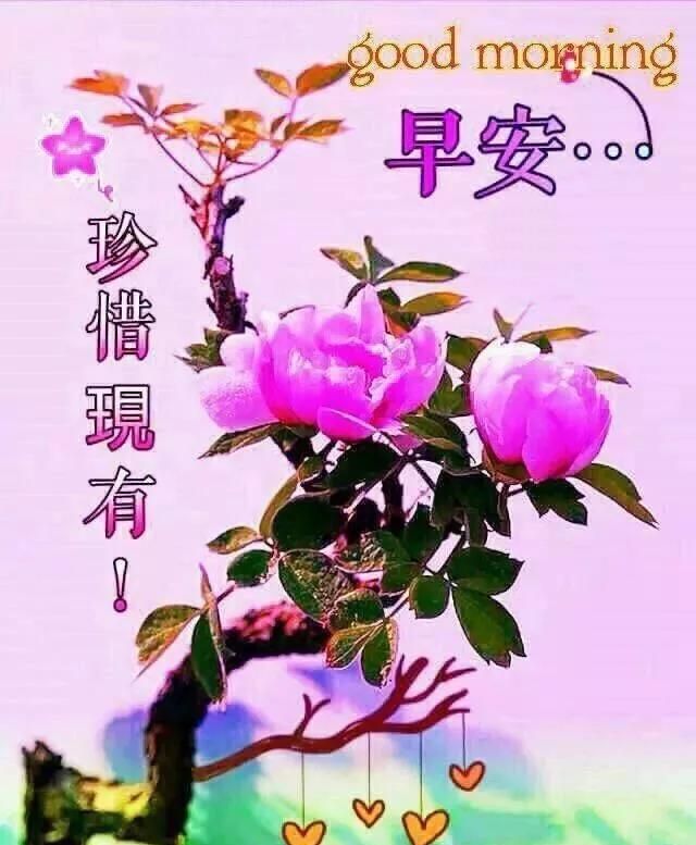 最温馨周末祝福语录 周末愉快最简短一句话