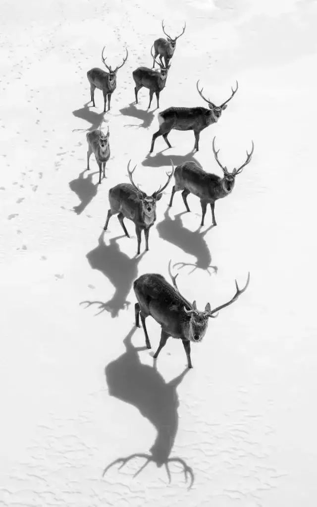 美爆了！<a href=