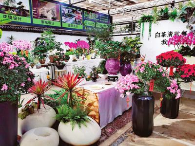 晋城市晋宛花卉市场宋三福——变与不变的生意经