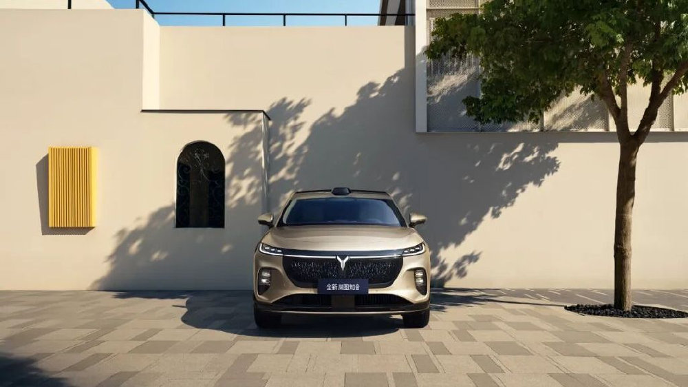 配齐幸福感的纯电SUV，为什么一定是全新岚图知音？