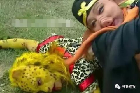 dv君给大家科普一下,这位豹子精又称南山大王,自认为凭借智谋擒获了