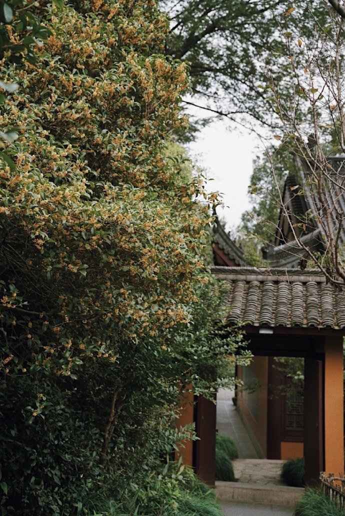 杭州永福寺