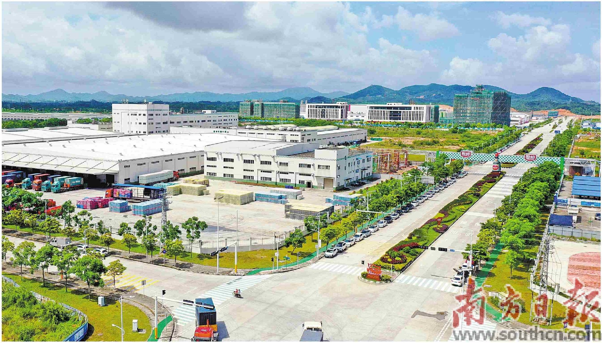 寻找山海阳西“源头好物”