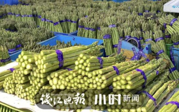 杭州人爱吃的本地菜大跌价,有的直接腰斩!老板:现在很实惠休闲区蓝鸢梦想 - Www.slyday.coM 杭州人爱吃的本地菜大跌价,有的直接腰斩!老板:现在很实惠休闲区蓝鸢梦想 - Www.slyday.coM