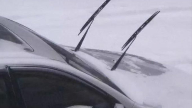 雨刮器“直立”保护方式的意义，雨刮器的价值与精力投入的关系解析。