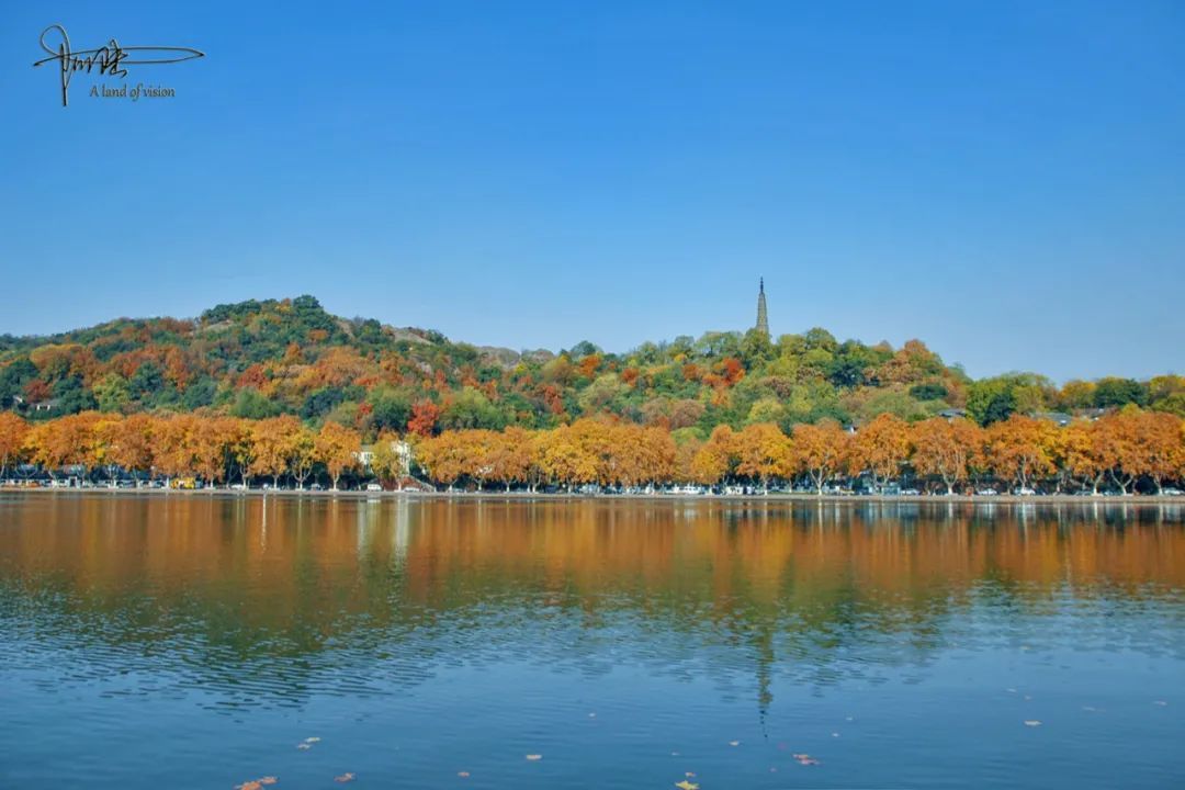 北山路秋意最浓的时候,其实是在冬天,风景美如画|杭州