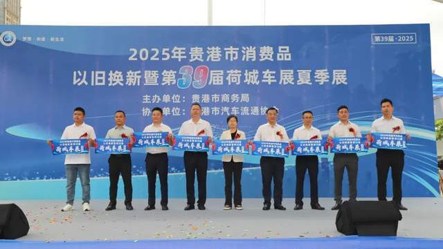 荷城车展夏季展开幕