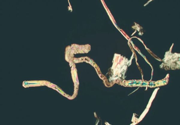 灰尘无处不在,但我们真的了解吗?休闲区蓝鸢梦想 - Www.slyday.coM 灰尘无处不在,但我们真的了解吗?休闲区蓝鸢梦想 - Www.slyday.coM