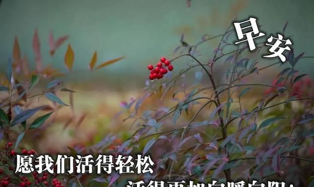 8张最新漂亮春日风景早安图片带字带祝福语 免打字朋友圈祝福精选