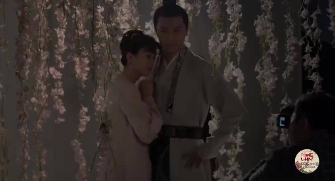 知否花絮 知否知否应是绿肥红瘦 赵丽颖冯绍峰 好剧推荐