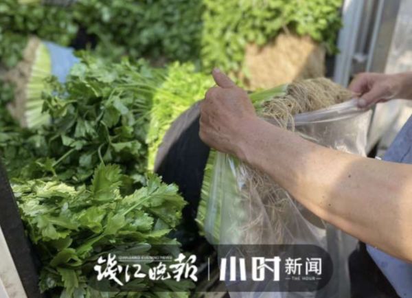 杭州人爱吃的本地菜大跌价,有的直接腰斩!老板:现在很实惠休闲区蓝鸢梦想 - Www.slyday.coM 杭州人爱吃的本地菜大跌价,有的直接腰斩!老板:现在很实惠休闲区蓝鸢梦想 - Www.slyday.coM