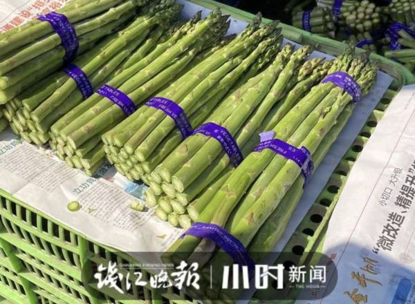 杭州人爱吃的本地菜大跌价,有的直接腰斩!老板:现在很实惠休闲区蓝鸢梦想 - Www.slyday.coM 杭州人爱吃的本地菜大跌价,有的直接腰斩!老板:现在很实惠休闲区蓝鸢梦想 - Www.slyday.coM