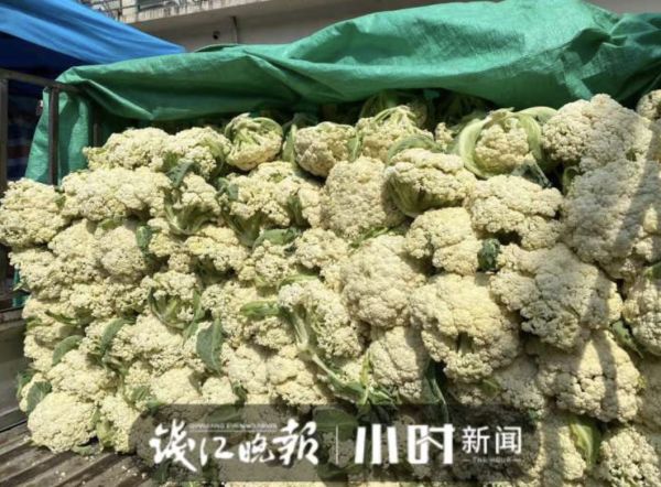 杭州人爱吃的本地菜大跌价,有的直接腰斩!老板:现在很实惠休闲区蓝鸢梦想 - Www.slyday.coM 杭州人爱吃的本地菜大跌价,有的直接腰斩!老板:现在很实惠休闲区蓝鸢梦想 - Www.slyday.coM