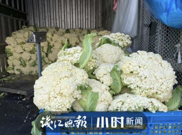 杭州人爱吃的本地菜大跌价,有的直接腰斩!老板:现在很实惠休闲区蓝鸢梦想 - Www.slyday.coM 杭州人爱吃的本地菜大跌价,有的直接腰斩!老板:现在很实惠休闲区蓝鸢梦想 - Www.slyday.coM