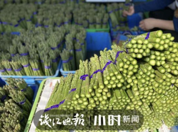 杭州人爱吃的本地菜大跌价,有的直接腰斩!老板:现在很实惠休闲区蓝鸢梦想 - Www.slyday.coM 杭州人爱吃的本地菜大跌价,有的直接腰斩!老板:现在很实惠休闲区蓝鸢梦想 - Www.slyday.coM