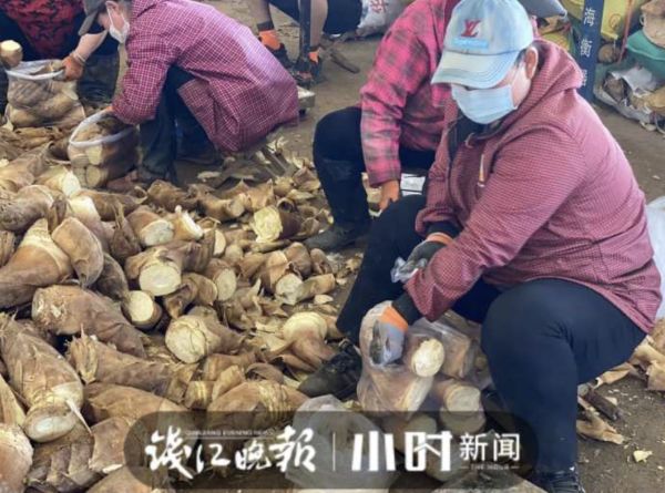 杭州人爱吃的本地菜大跌价,有的直接腰斩!老板:现在很实惠休闲区蓝鸢梦想 - Www.slyday.coM 杭州人爱吃的本地菜大跌价,有的直接腰斩!老板:现在很实惠休闲区蓝鸢梦想 - Www.slyday.coM