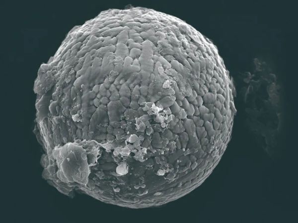 灰尘无处不在,但我们真的了解吗?休闲区蓝鸢梦想 - Www.slyday.coM 灰尘无处不在,但我们真的了解吗?休闲区蓝鸢梦想 - Www.slyday.coM