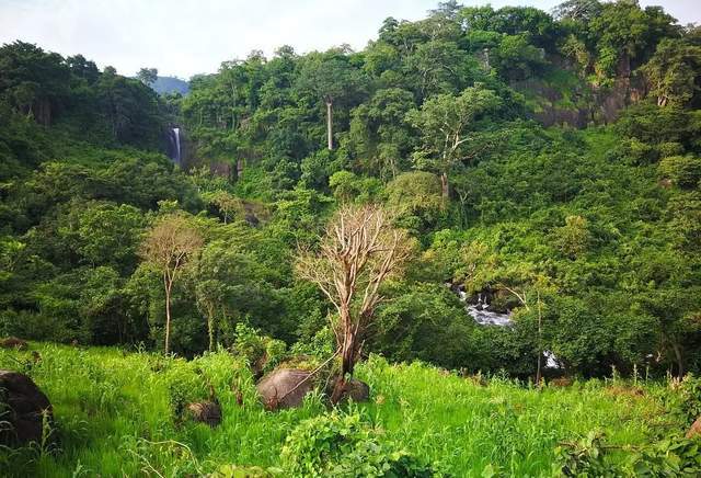 非洲的富塔贾隆高原,为什么会被称为“西非水塔”?休闲区蓝鸢梦想 - Www.slyday.coM 非洲的富塔贾隆高原,为什么会被称为“西非水塔”?休闲区蓝鸢梦想 - Www.slyday.coM