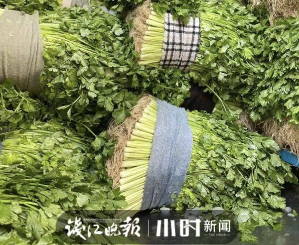 杭州人爱吃的本地菜大跌价,有的直接腰斩!老板:现在很实惠休闲区蓝鸢梦想 - Www.slyday.coM 杭州人爱吃的本地菜大跌价,有的直接腰斩!老板:现在很实惠休闲区蓝鸢梦想 - Www.slyday.coM