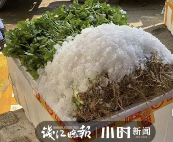 杭州人爱吃的本地菜大跌价,有的直接腰斩!老板:现在很实惠休闲区蓝鸢梦想 - Www.slyday.coM 杭州人爱吃的本地菜大跌价,有的直接腰斩!老板:现在很实惠休闲区蓝鸢梦想 - Www.slyday.coM