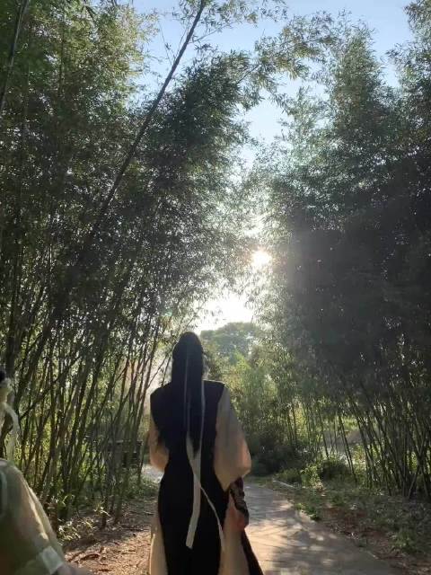 捉妖黑莲花攻略手册 慕子期凌妙妙 慕瑶柳拂衣