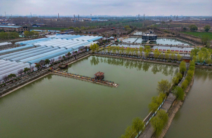 这个美妙的春天皖北宿开云 开云体育官网州应该怎么住怎么吃？(图6)