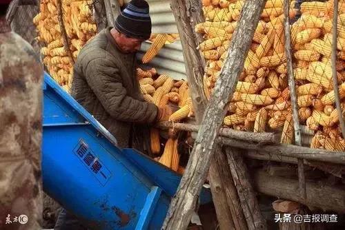 磐石一老汉卖粮“丢”了上万斤!警方侦破发现,原来是不法粮贩对地秤动了手脚休闲区蓝鸢梦想 - Www.slyday.coM 磐石一老汉卖粮“丢”了上万斤!警方侦破发现,原来是不法粮贩对地秤动了手脚休闲区蓝鸢梦想 - Www.slyday.coM