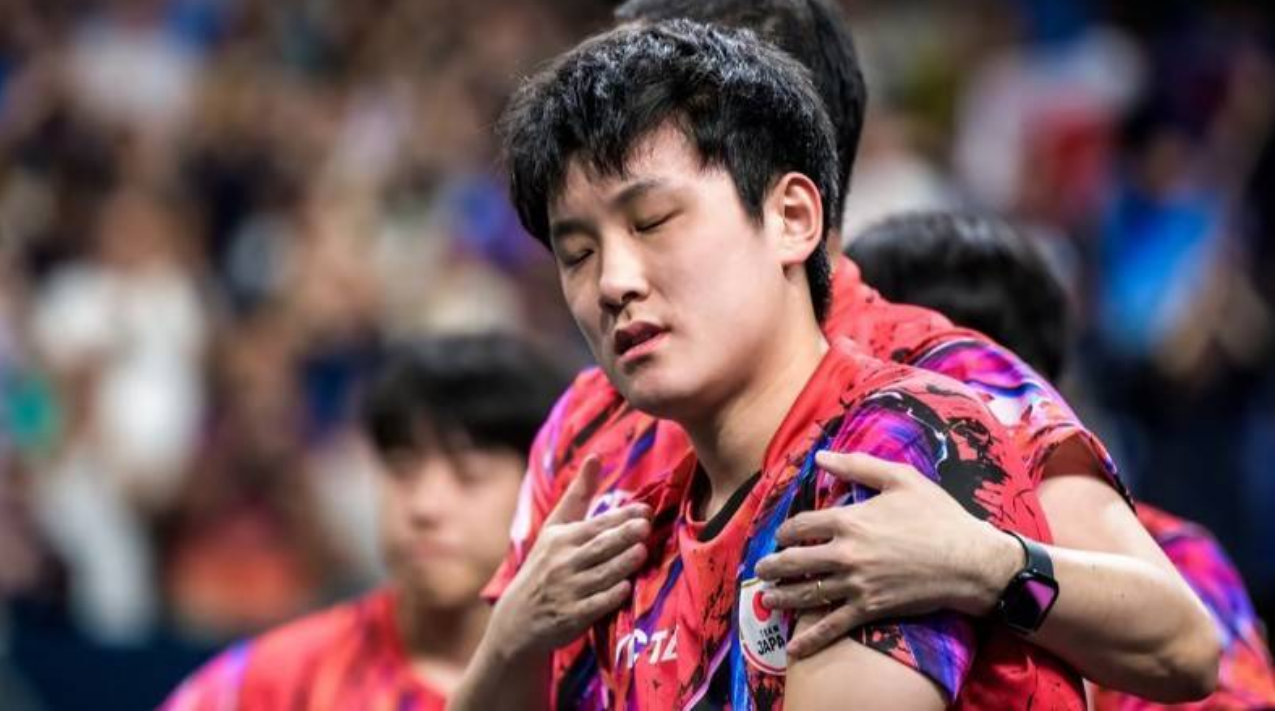 夺冠仅半个月，张本智和兄妹“双双失业”，解约三大原因令人唏嘘！