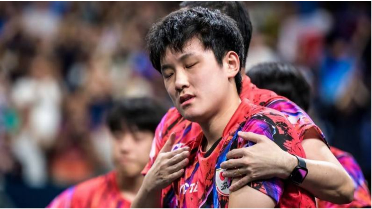 张本智和回击中国网友：我是自愿加入日本籍的，凭啥让我滚出四川？