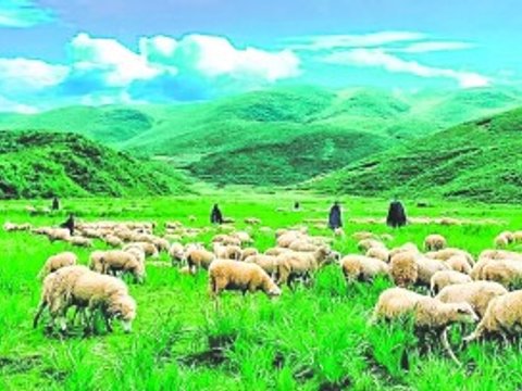 以戏剧为媒 探凉山之美