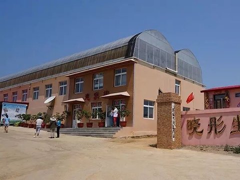 大连晓彤生态园桃子杏子免费采摘 随便摘 随便吃!