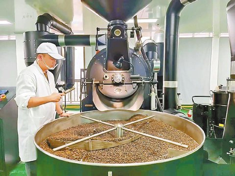 一颗豆串联山海情