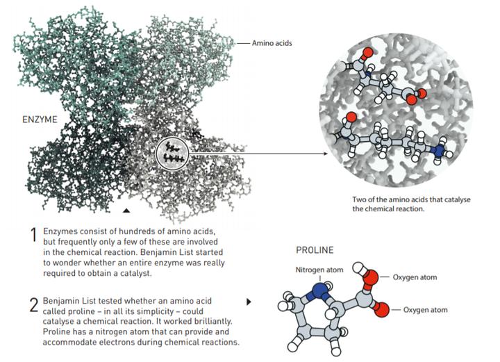 2021年诺贝尔化学奖“回归”传统化学:有机催化,巧妙改变我们的生活休闲区蓝鸢梦想 - Www.slyday.coM 2021年诺贝尔化学奖“回归”传统化学:有机催化,巧妙改变我们的生活休闲区蓝鸢梦想 - Www.slyday.coM
