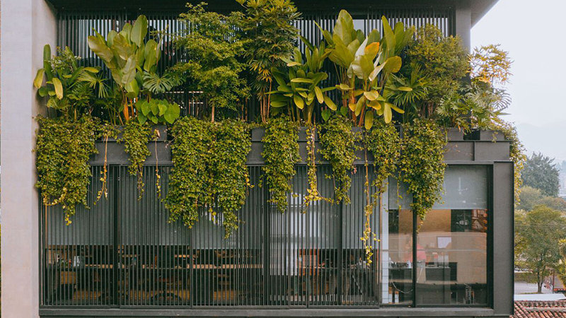 绿色节能模块化建筑 打造绿色舒适家|模块化|绿色建筑|建筑_新浪新闻