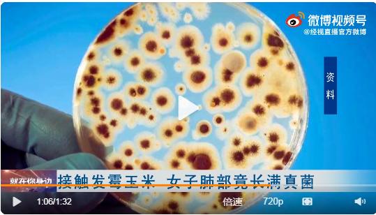 热搜第一!女子接触霉变玉米后肺部长满黄曲霉菌,什么是黄曲霉毒素,它有哪些危害?休闲区蓝鸢梦想 - Www.slyday.coM 热搜第一!女子接触霉变玉米后肺部长满黄曲霉菌,什么是黄曲霉毒素,它有哪些危害?休闲区蓝鸢梦想 - Www.slyday.coM