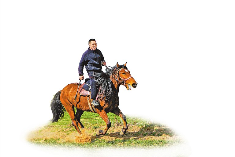 河南“牧马人”的龙马精神（新春走基层·我在，我看，我记录）