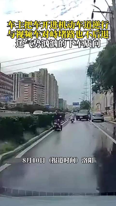 车主逆行堵路下车质问视频车