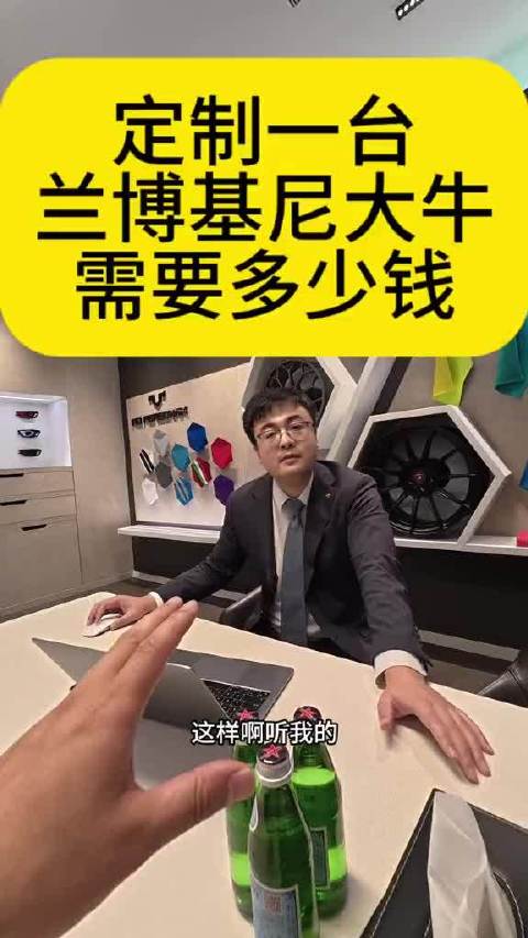 定制一台兰博基尼大牛需要多少钱 配置单给我留着