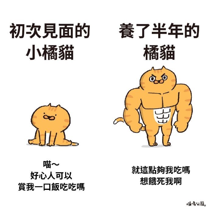 哈哈哈哈哈这系列真的很搞笑了ins:meowowpark