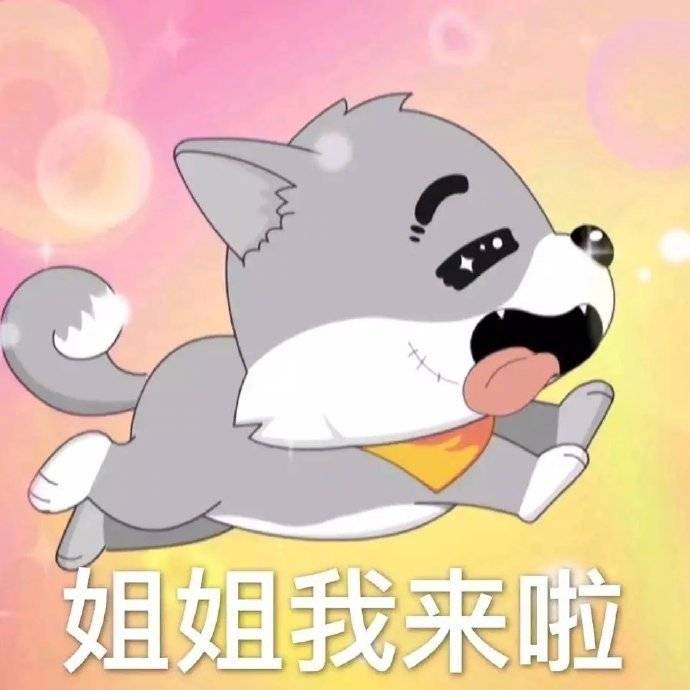 表情包姐姐我来啦