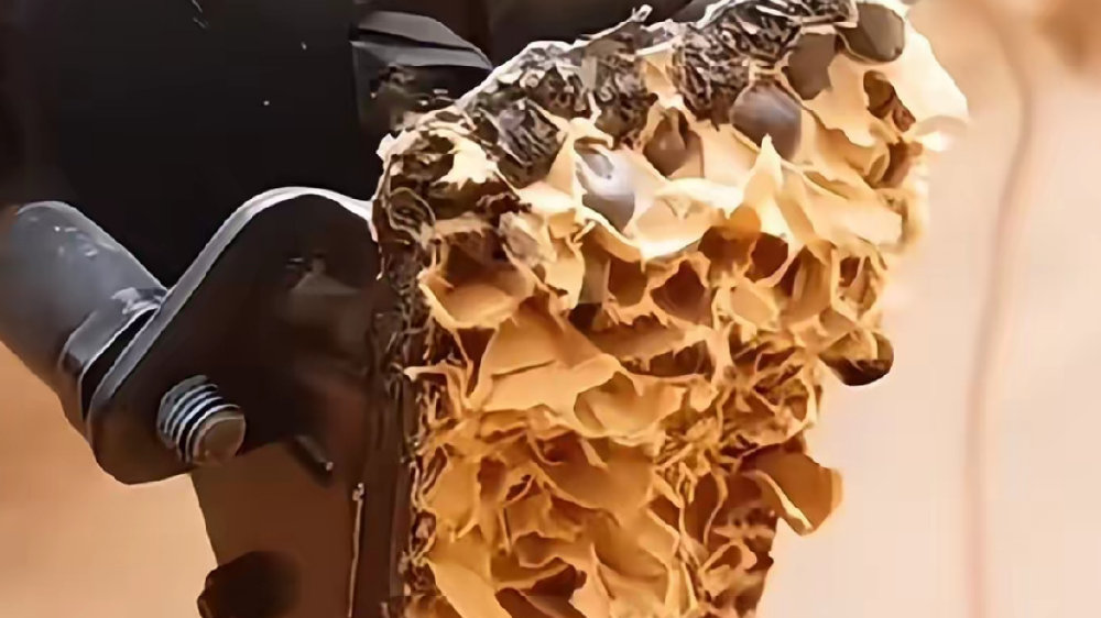 福特烈马被质疑用纸填充车顶？官方：满足国标，兼顾环保与轻量化