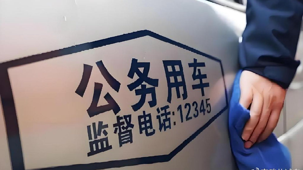 啥时候公车都换新能源车，你才买？最新数据出炉，恨电派要破防了