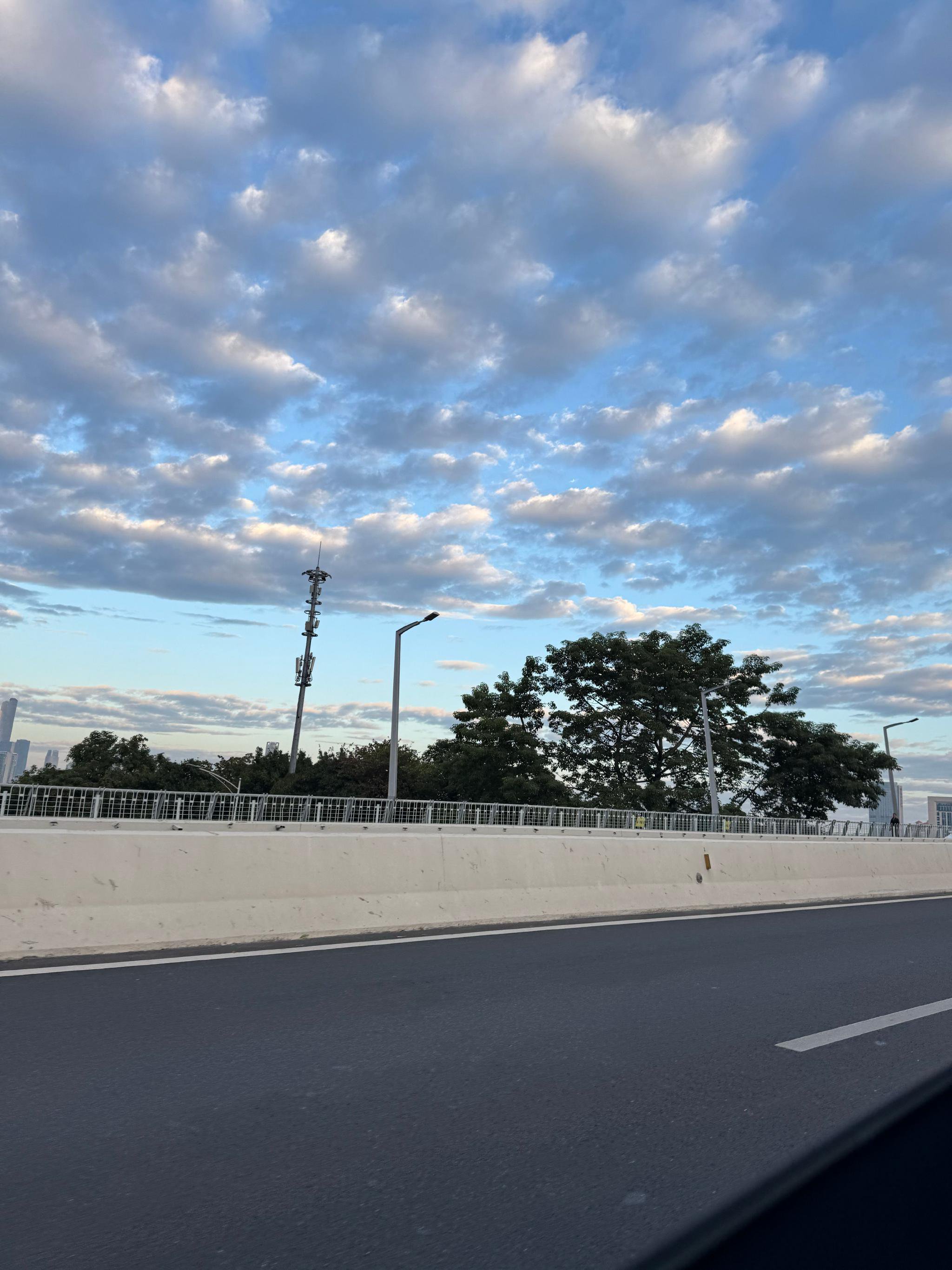 游客离穗赴沪，留恋广州美食车展