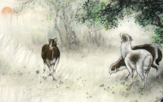 值得听-挂机方案网上说的挂机赚钱是真的吗（星辉平台）挂机论坛(3)