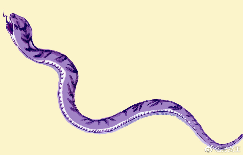 值得听-挂机方案网上说的挂机赚钱是真的吗（星辉平台）挂机论坛(4)