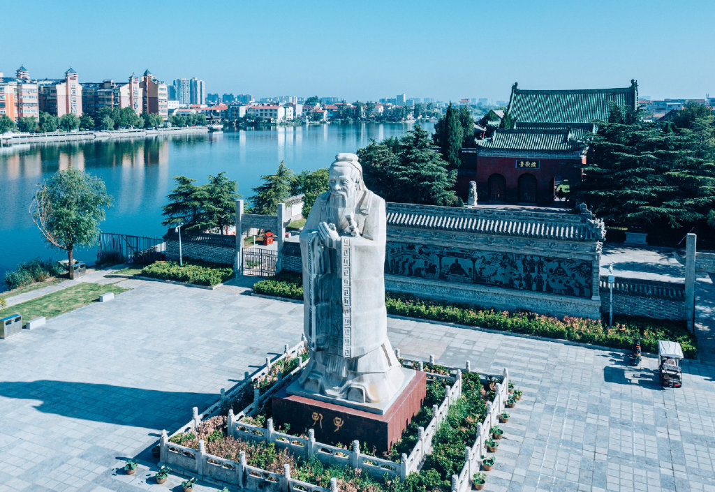 周口怎么进品茶群