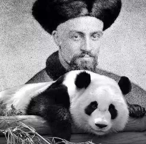 露丝哈克尼斯:2次来中国,偷运2只熊猫幼崽,却成西方带出熊猫第一人休闲区蓝鸢梦想 - Www.slyday.coM 露丝哈克尼斯:2次来中国,偷运2只熊猫幼崽,却成西方带出熊猫第一人休闲区蓝鸢梦想 - Www.slyday.coM